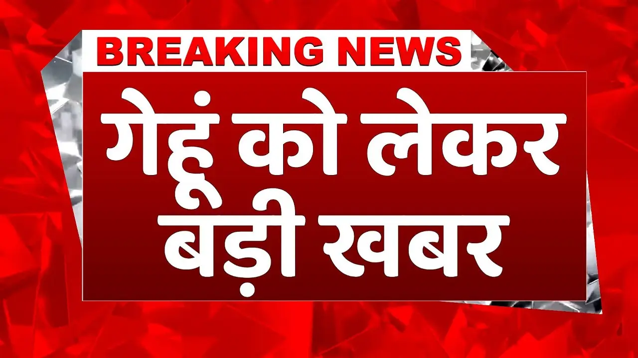 गेहूँ की कीमतों में गिरावट